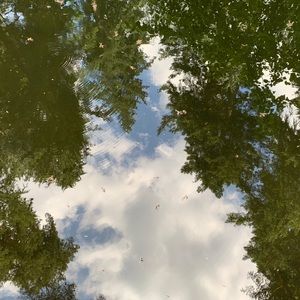 Meet your Posher, Minh